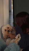 hadas_mayer_ Altpins Profile Picture