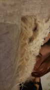 hadas_mayer_ Altpins Profile Picture