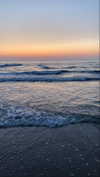 hadas_mayer_ Altpins Profile Picture