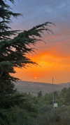 hadas_mayer_ Altpins Profile Picture