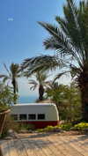 hadas_mayer_ Altpins Profile Picture