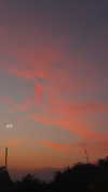 hadas_mayer_ Altpins Profile Picture
