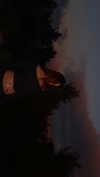 hadas_mayer_ Altpins Profile Picture