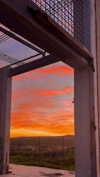 hadas_mayer_ Altpins Profile Picture