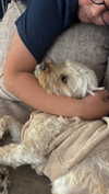 hadas_mayer_ Altpins Profile Picture