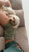 hadas_mayer_ Altpins Profile Picture
