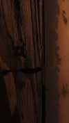 hadas_mayer_ Altpins Profile Picture