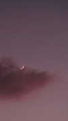 hadas_mayer_ Altpins Profile Picture