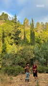 hadas_mayer_ Altpins Profile Picture