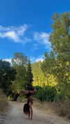 hadas_mayer_ Altpins Profile Picture