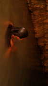 hadas_mayer_ Altpins Profile Picture