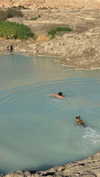 hadas_mayer_ Altpins Profile Picture