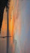 hadas_mayer_ Altpins Profile Picture