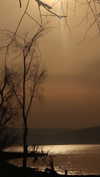 hadas_mayer_ Altpins Profile Picture