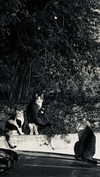 hadas_mayer_ Altpins Profile Picture