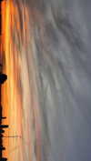 hadas_mayer_ Altpins Profile Picture