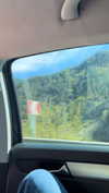hadas_mayer_ Altpins Profile Picture
