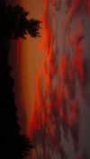 hadas_mayer_ Altpins Profile Picture