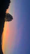 hadas_mayer_ Altpins Profile Picture