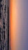 hadas_mayer_ Altpins Profile Picture