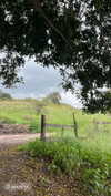 hadas_mayer_ Altpins Profile Picture