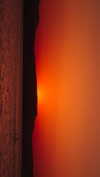 hadas_mayer_ Altpins Profile Picture