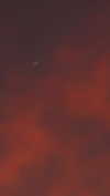 hadas_mayer_ Altpins Profile Picture