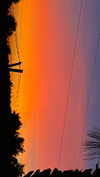 hadas_mayer_ Altpins Profile Picture