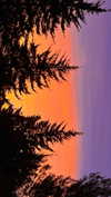 hadas_mayer_ Altpins Profile Picture