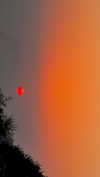 hadas_mayer_ Altpins Profile Picture