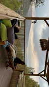 hadas_mayer_ Altpins Profile Picture