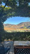 hagarschubert Altpins Profile Picture