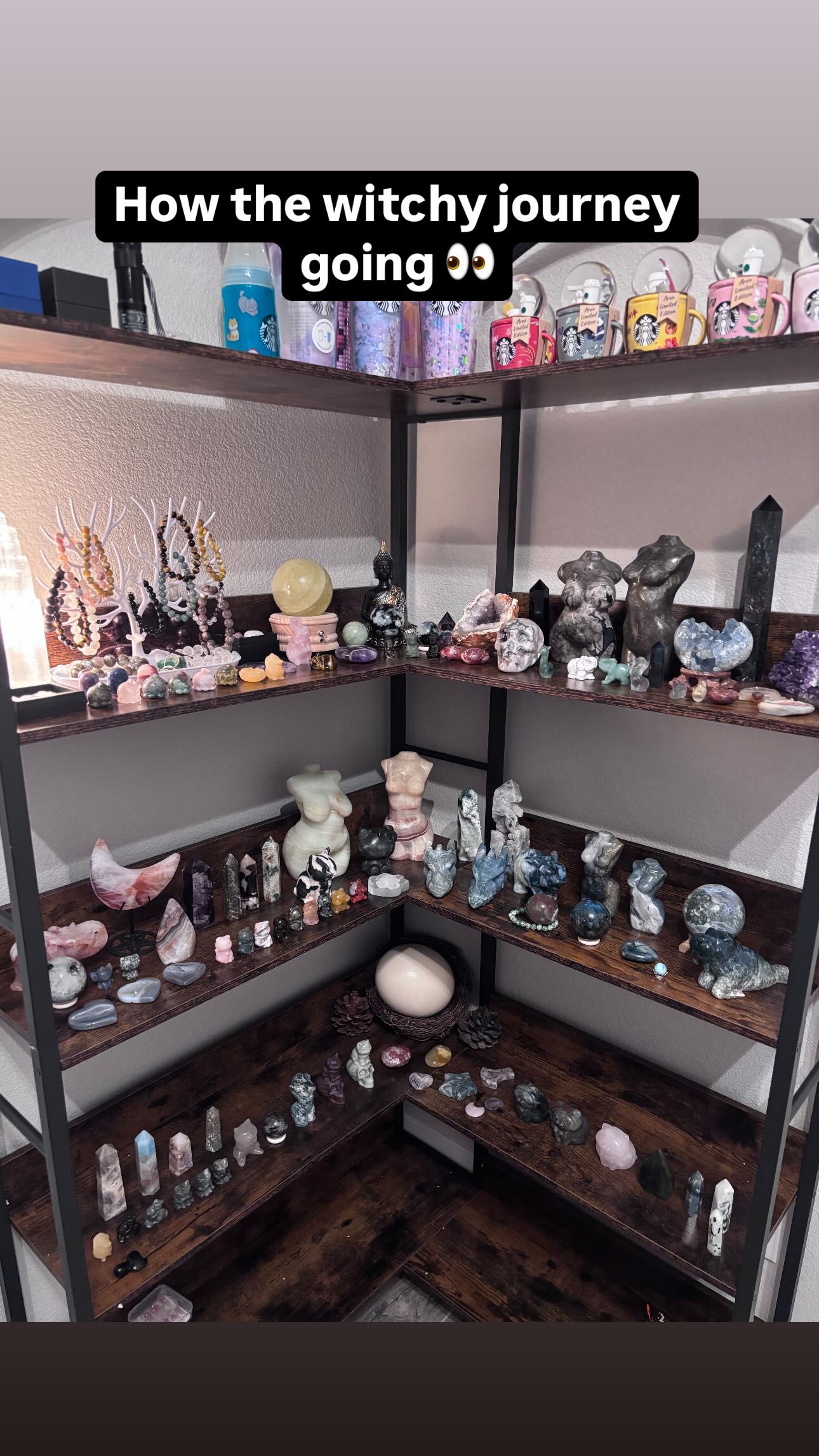 hana.bunny_bunny instagram image archive image