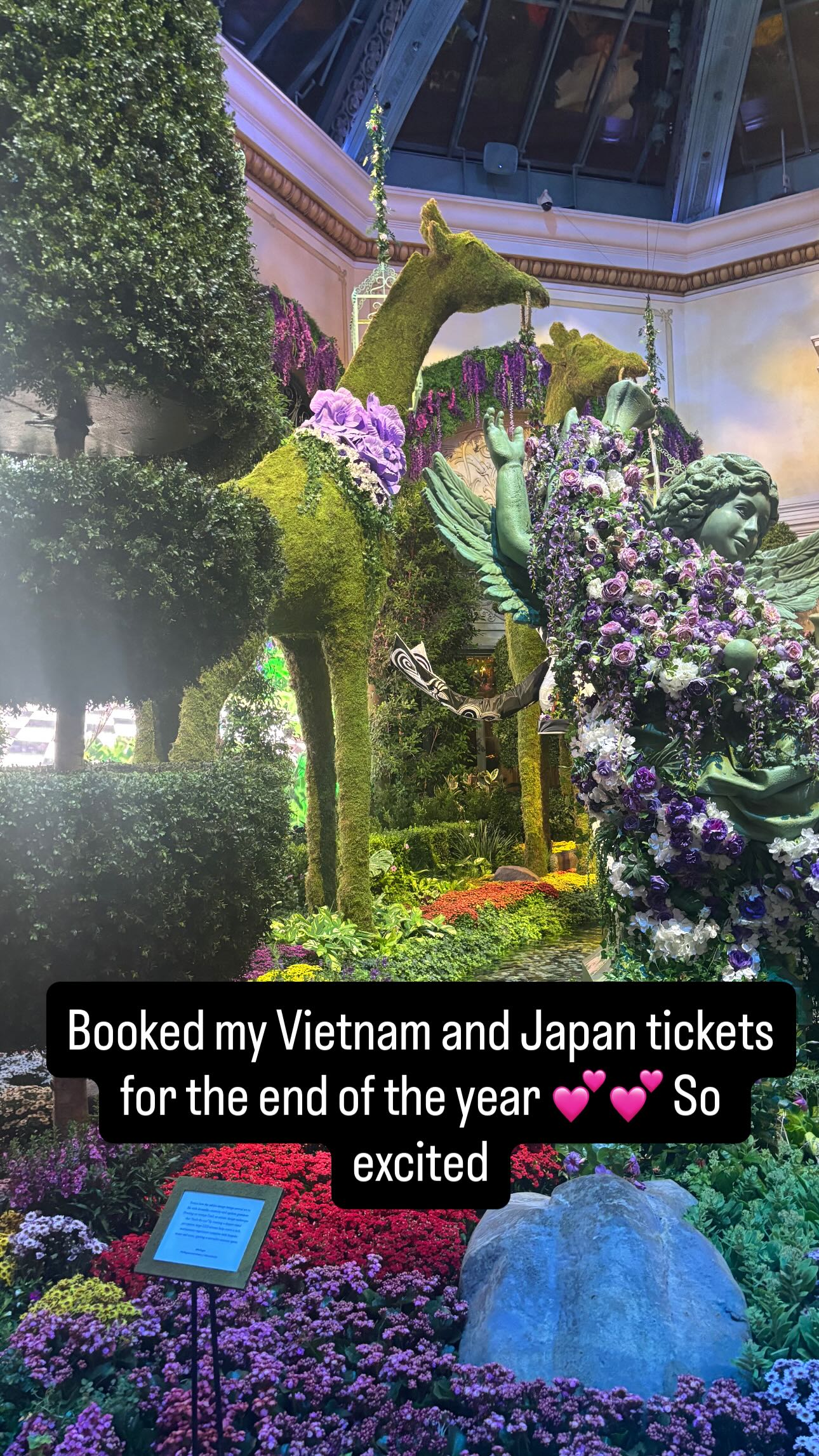 hana.bunny_bunny instagram image archive image