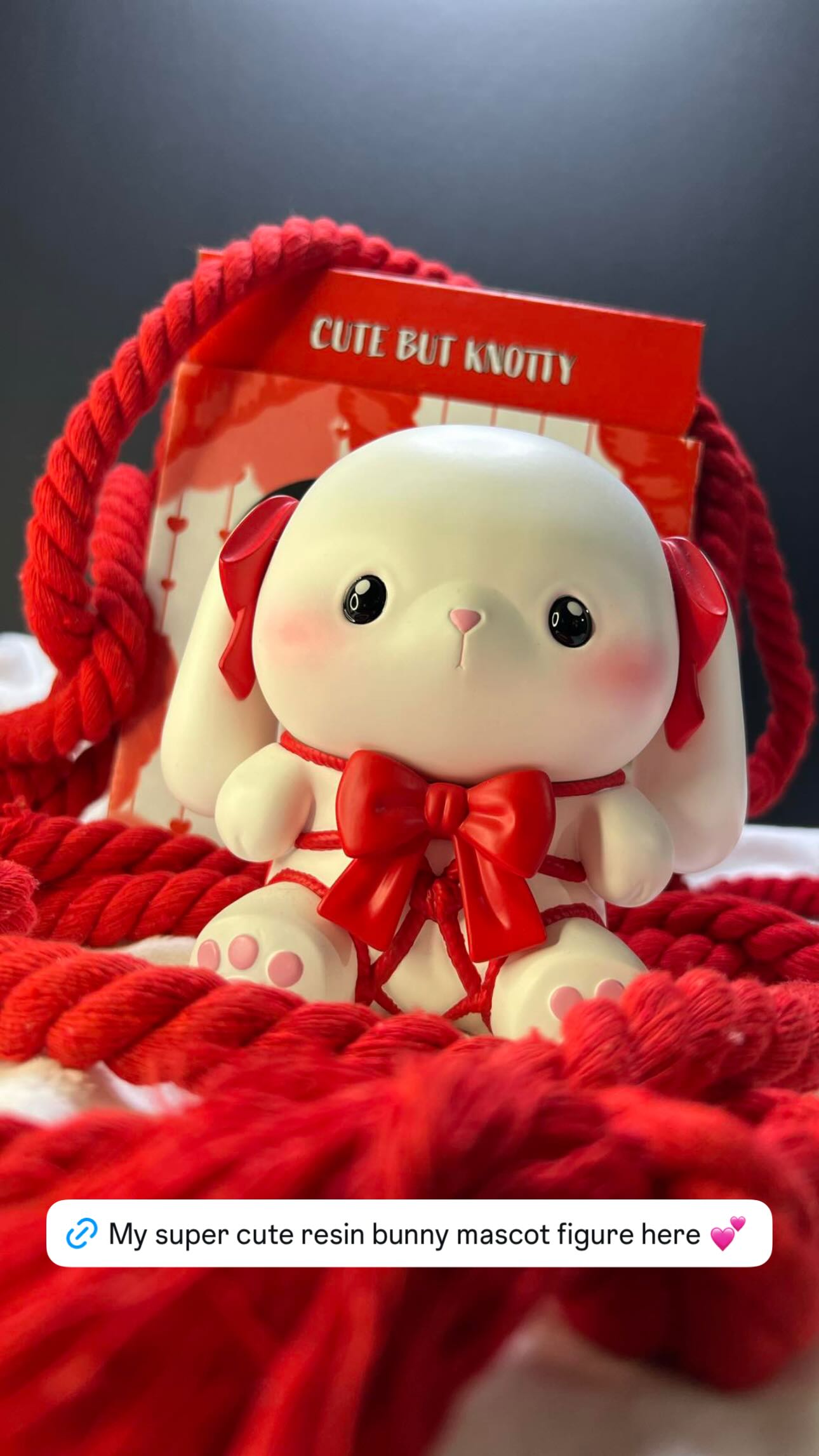 hana.bunny_bunny instagram image archive image