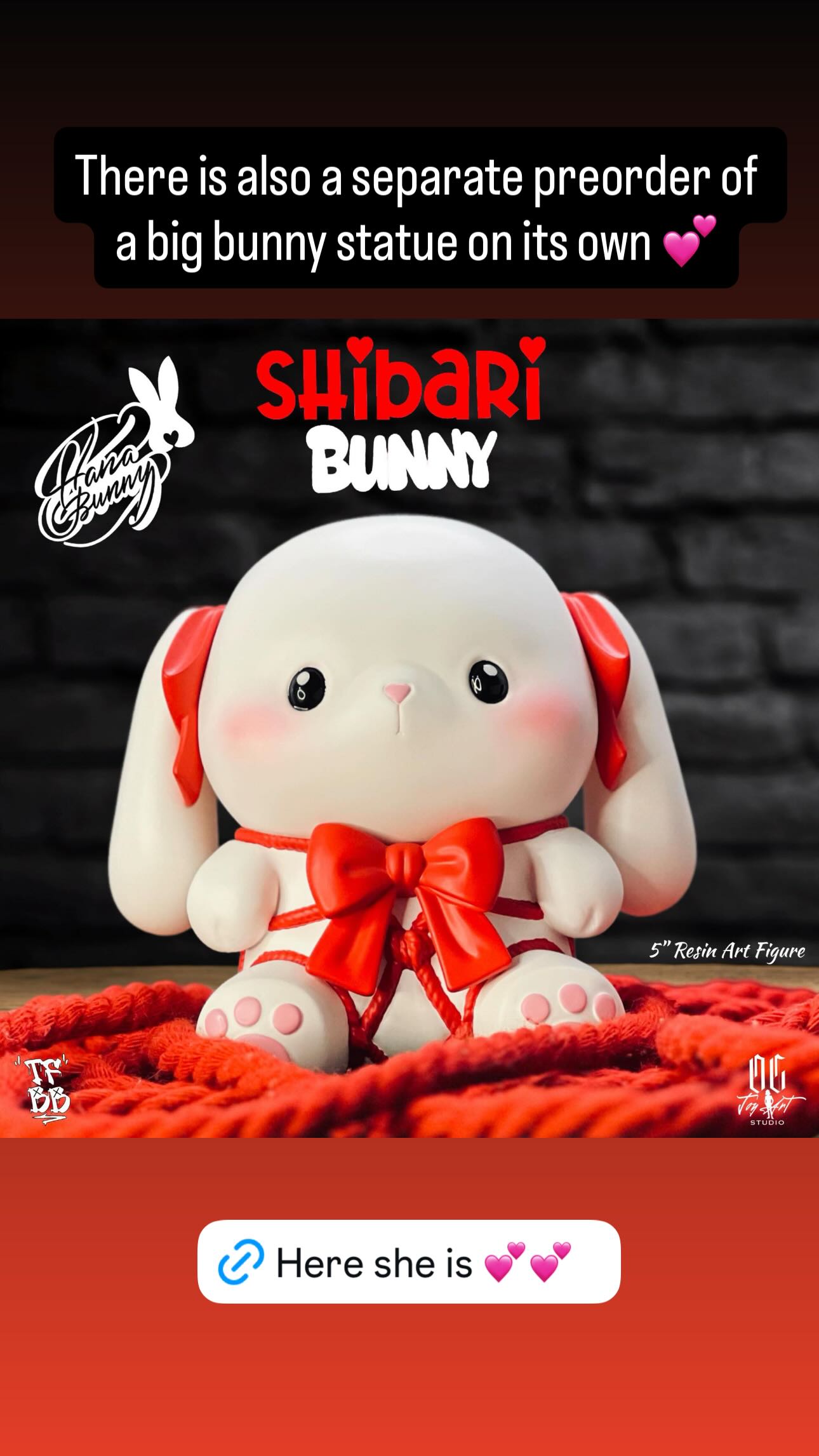 hana.bunny_bunny instagram image archive image