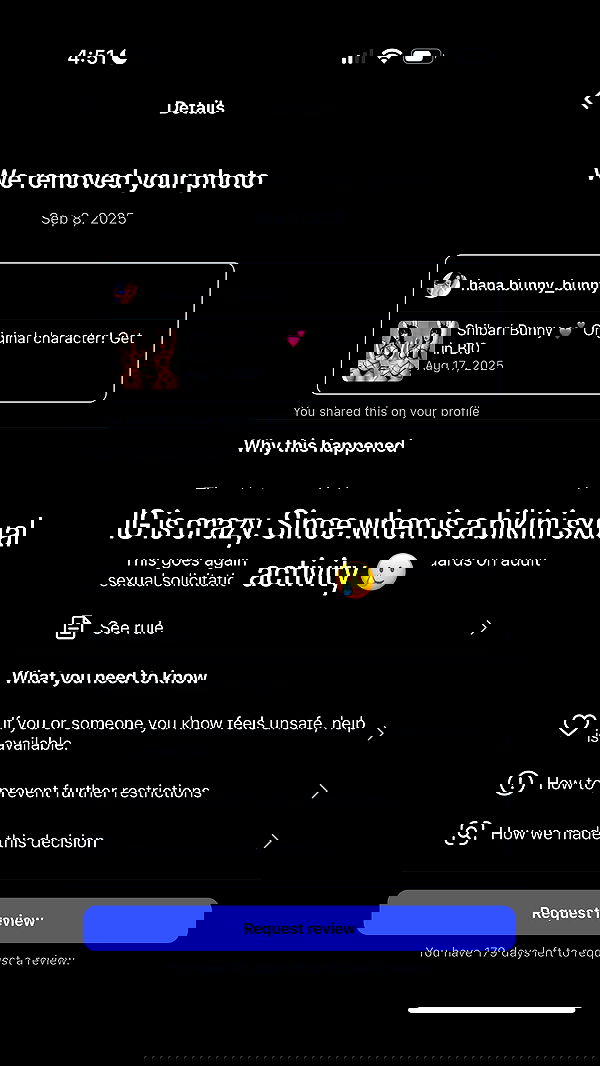 hana.bunny_bunny image ~ Altpins