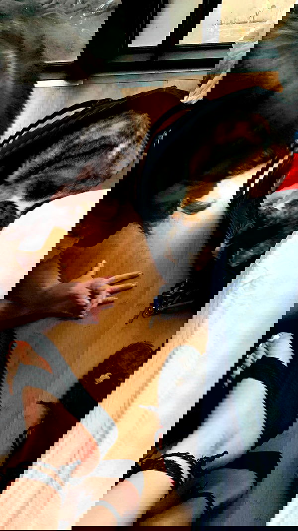 hanabellask8 hanabellask8 archive image