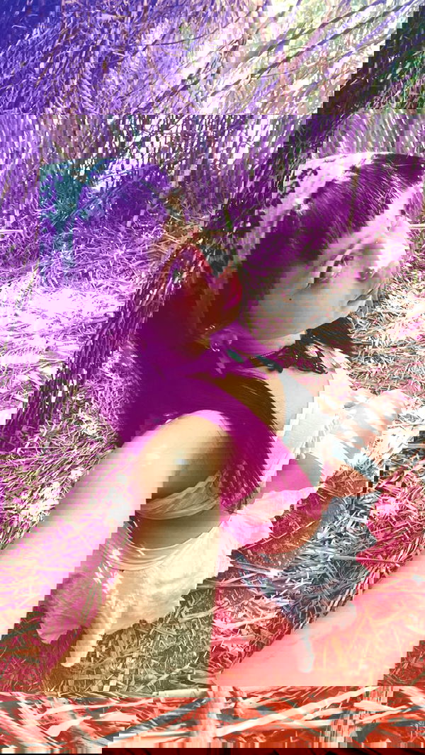 hanabellask8 hanabellask8 archive image