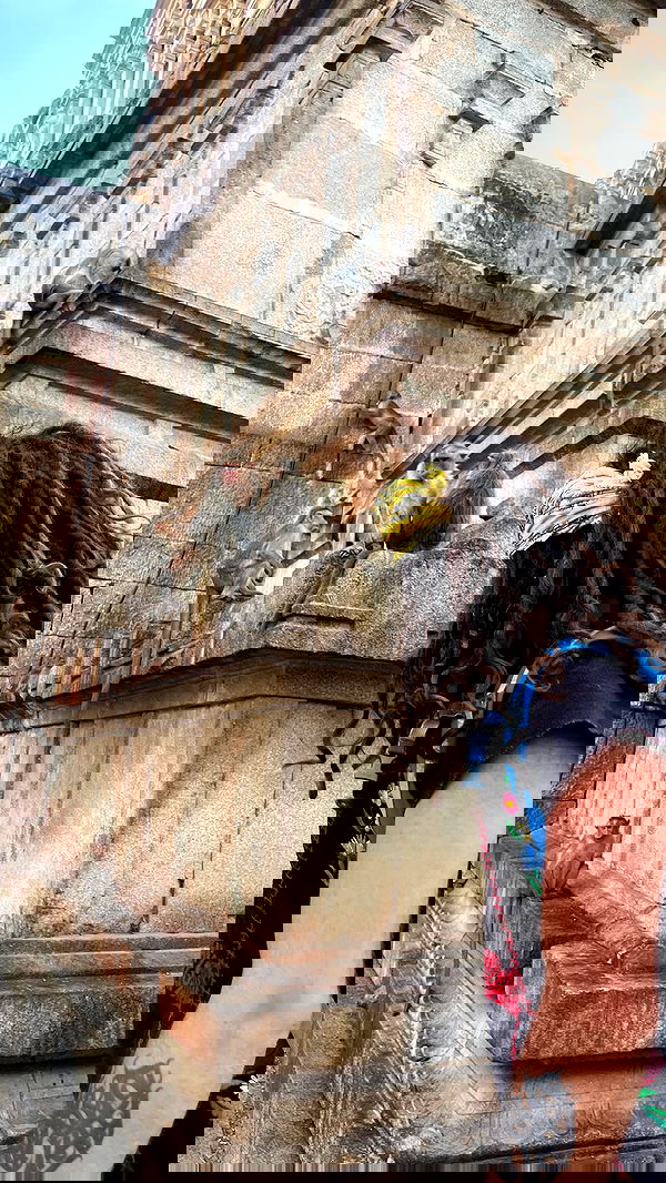 hanabellask8 hanabellask8 archive image