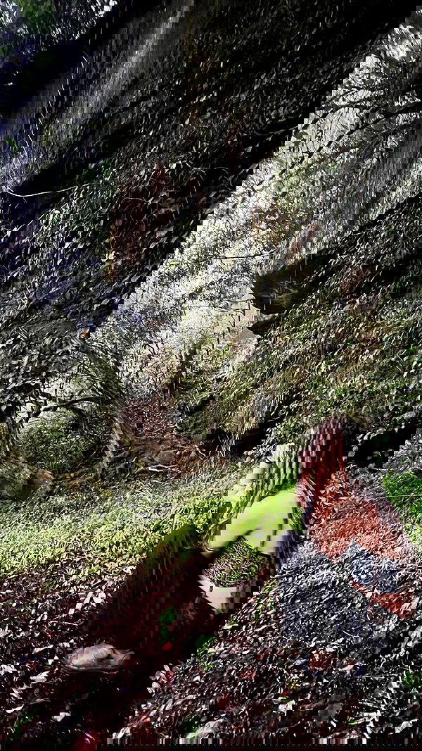 hanabellask8 hanabellask8 archive image