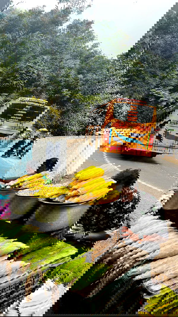 hanabellask8 hanabellask8 archive image