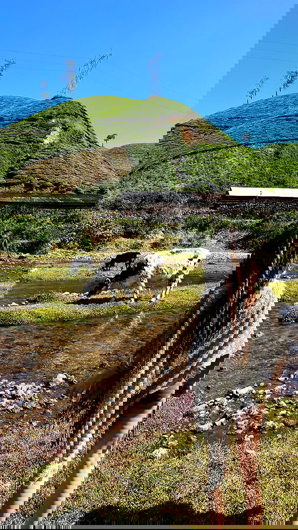 hanabellask8 hanabellask8 archive image