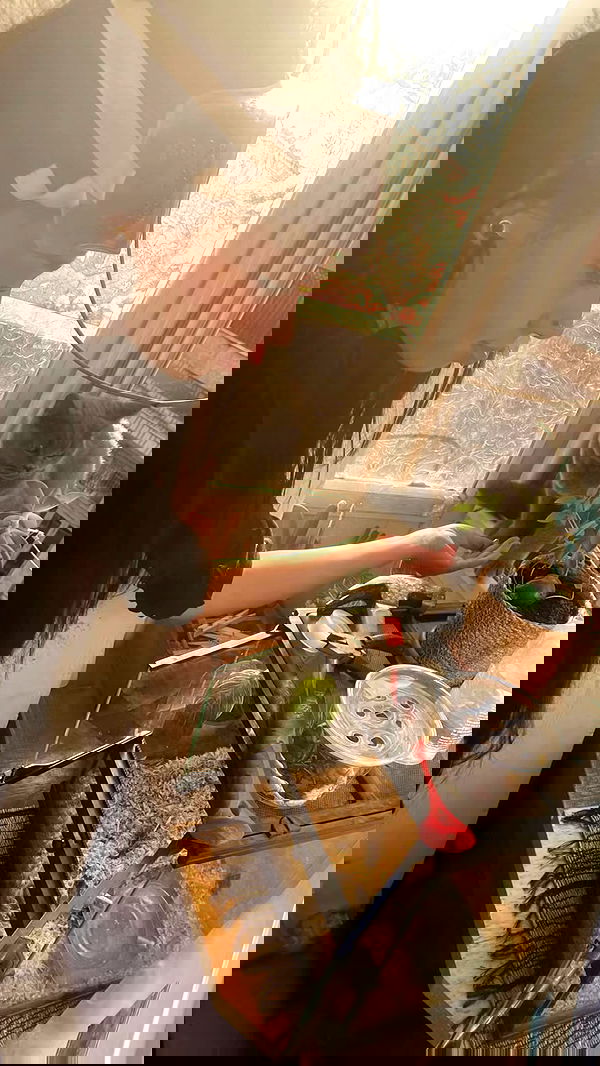 hanabellask8 hanabellask8 archive image