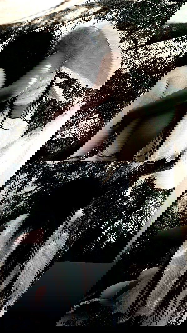 hanabellask8 hanabellask8 archive image