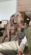 harrietross_ Altpins Profile Picture