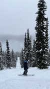 harrietross_ Altpins Profile Picture
