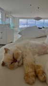 harrietross_ Altpins Profile Picture