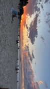 harrietross_ Altpins Profile Picture