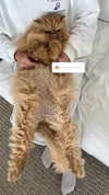harrietross_ Altpins Profile Picture